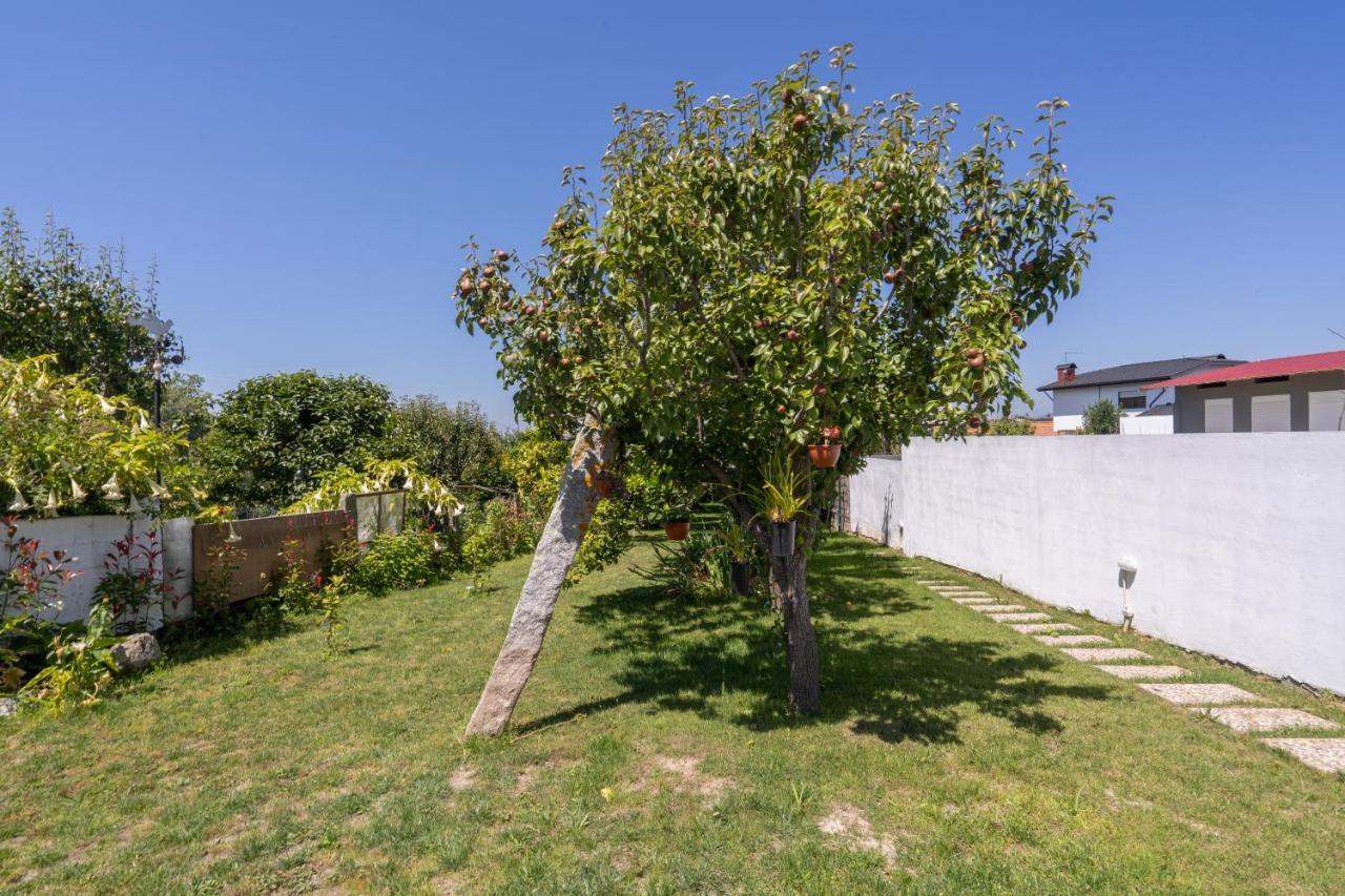 Villa Terra & Mar - Land & Sea à Arcozelo  Extérieur photo